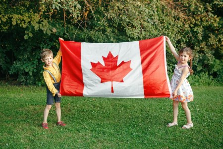 Image of Census flag