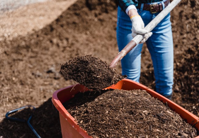 Image of Compost Dirt