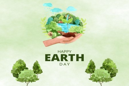 Image of trees for Earth Day