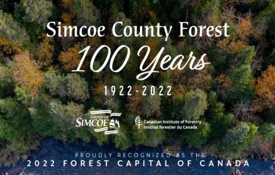 Image of Forest from Simcoe County representing Discover Simcoe County Forests
