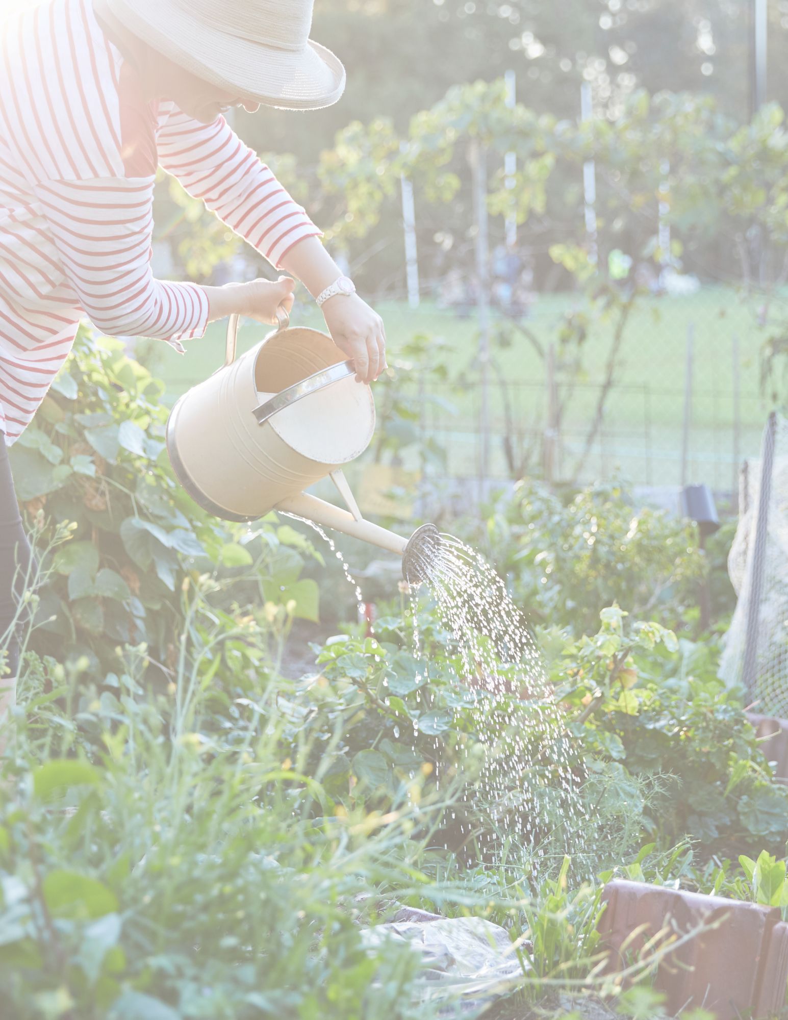 Community Garden