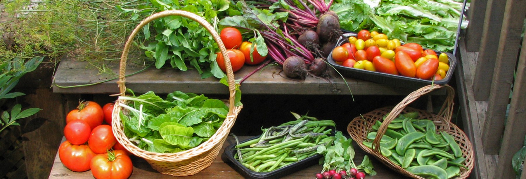 Image of Fresh Vegetables & Plants