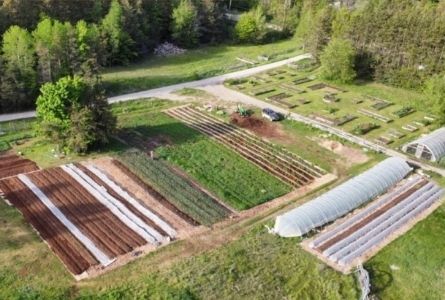 image of farm