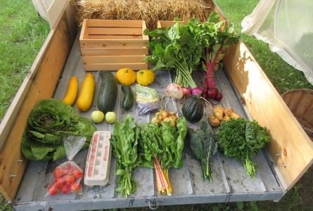 image of truck bed with vegetables