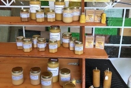 image of shelves of honey products