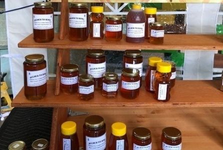 image of shelves of honey products