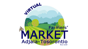 image of virtual market logo