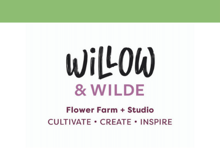 Willow and Wilde logo